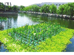 What are the technologies for river water purification?