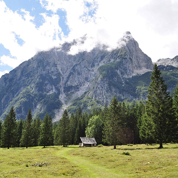 Natural ecological conservation